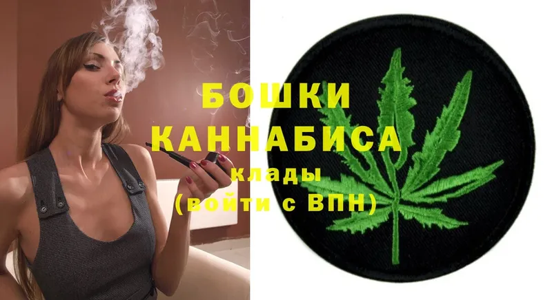 Бошки марихуана THC 21%  Карасук 